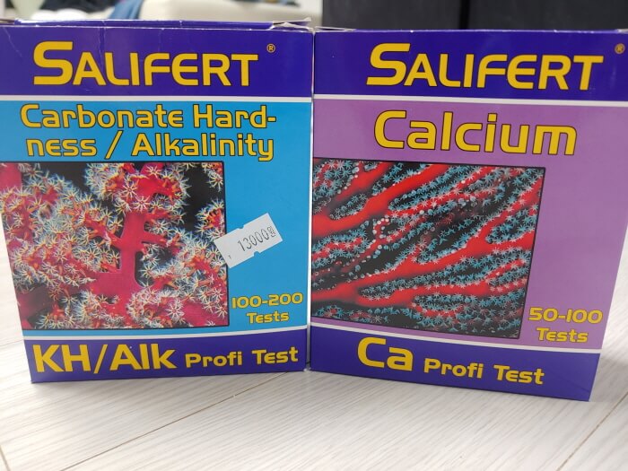 부채산호 사육방법