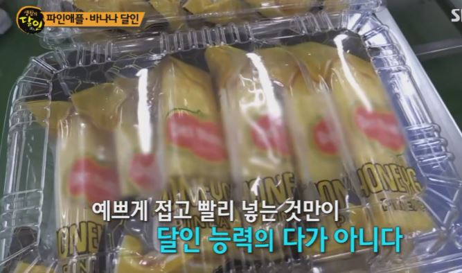 파이애플 바나나 달인