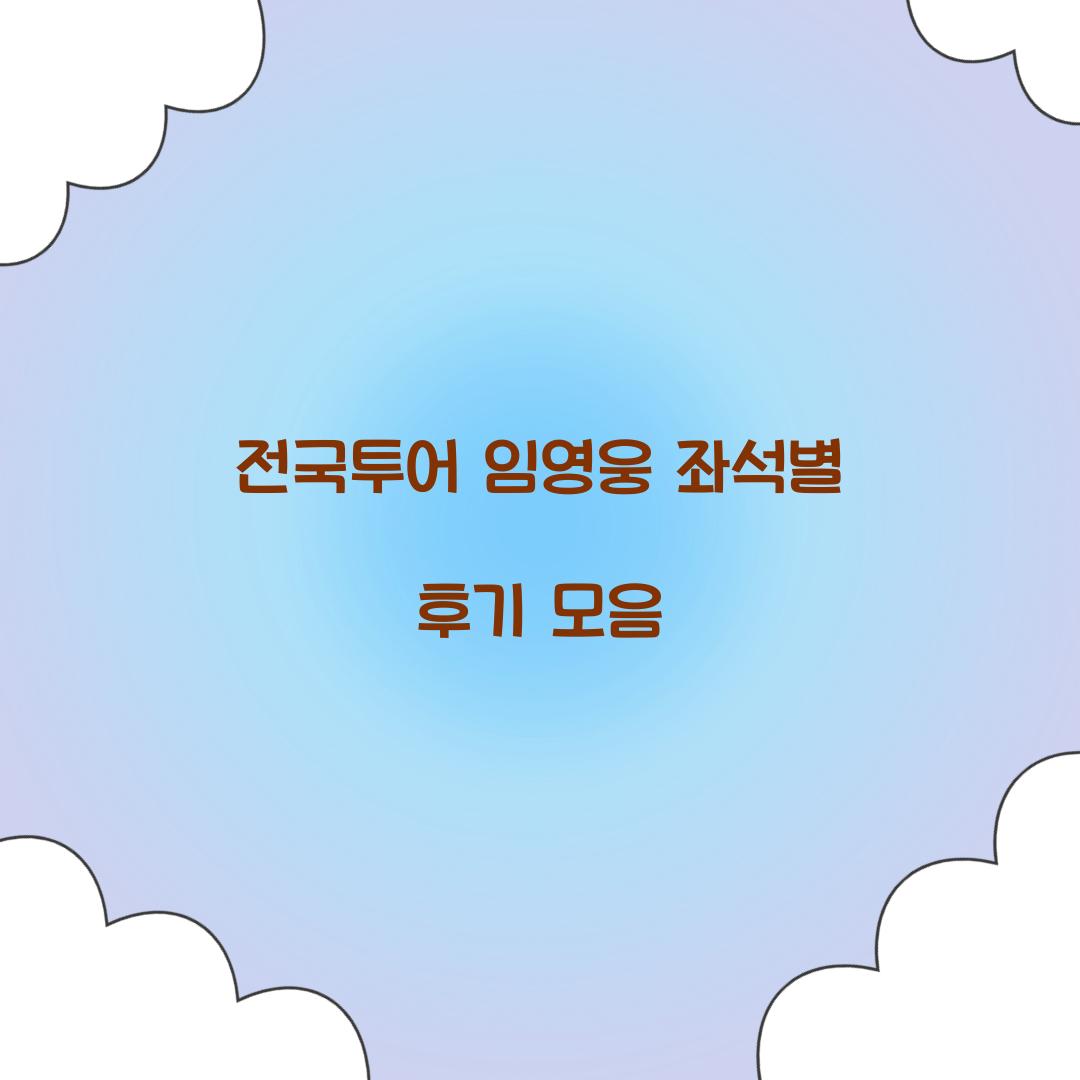 전국투어 임영웅 좌석별 후기 모음