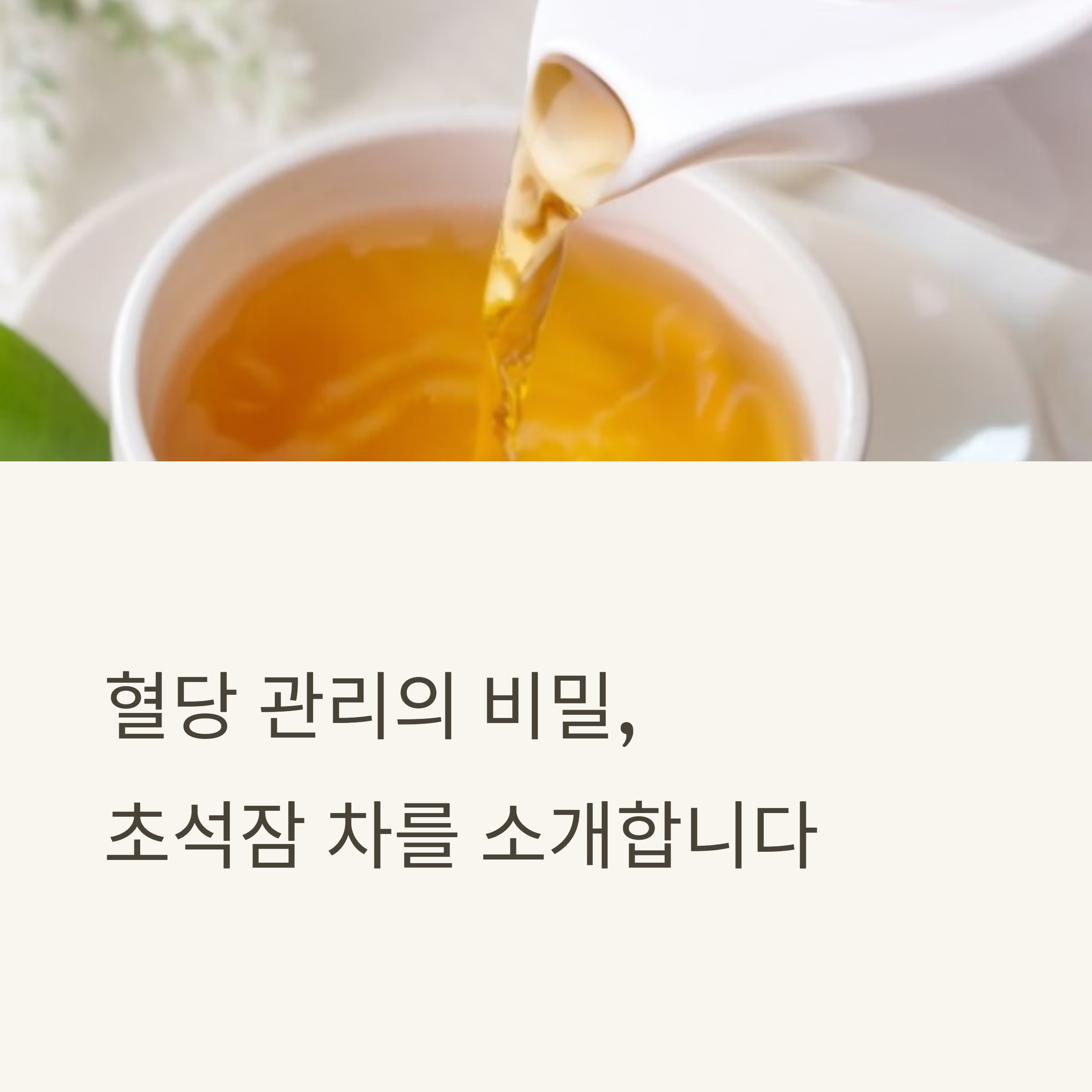 혈당 관리의 비밀, 초석잠 차를 소개합니다