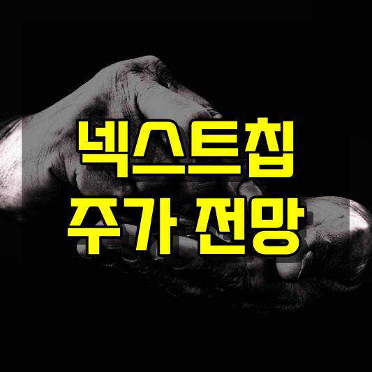 넥스트칩 주가 전망