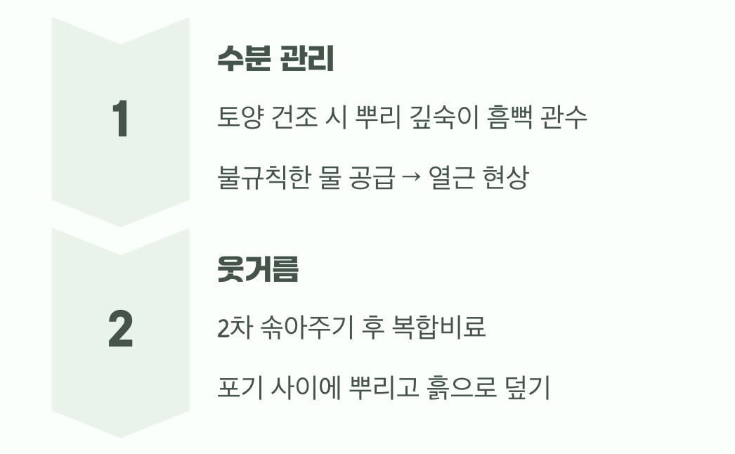 물과 영양&amp;#44; 아낌없이 주세요