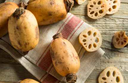 연근 6가지 효능 및 샐러드 레시피 (+ 요리법 보관법)