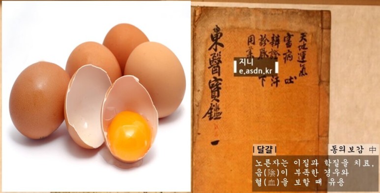 계란(달걀)효능 13가지와 부작용 총정리...음식건강이야기 아홉번째