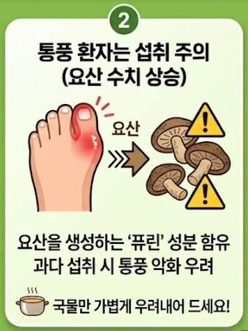 표고버섯 효능