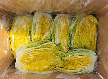 절임배추 사전예약