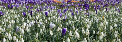 주일 대표 기도문