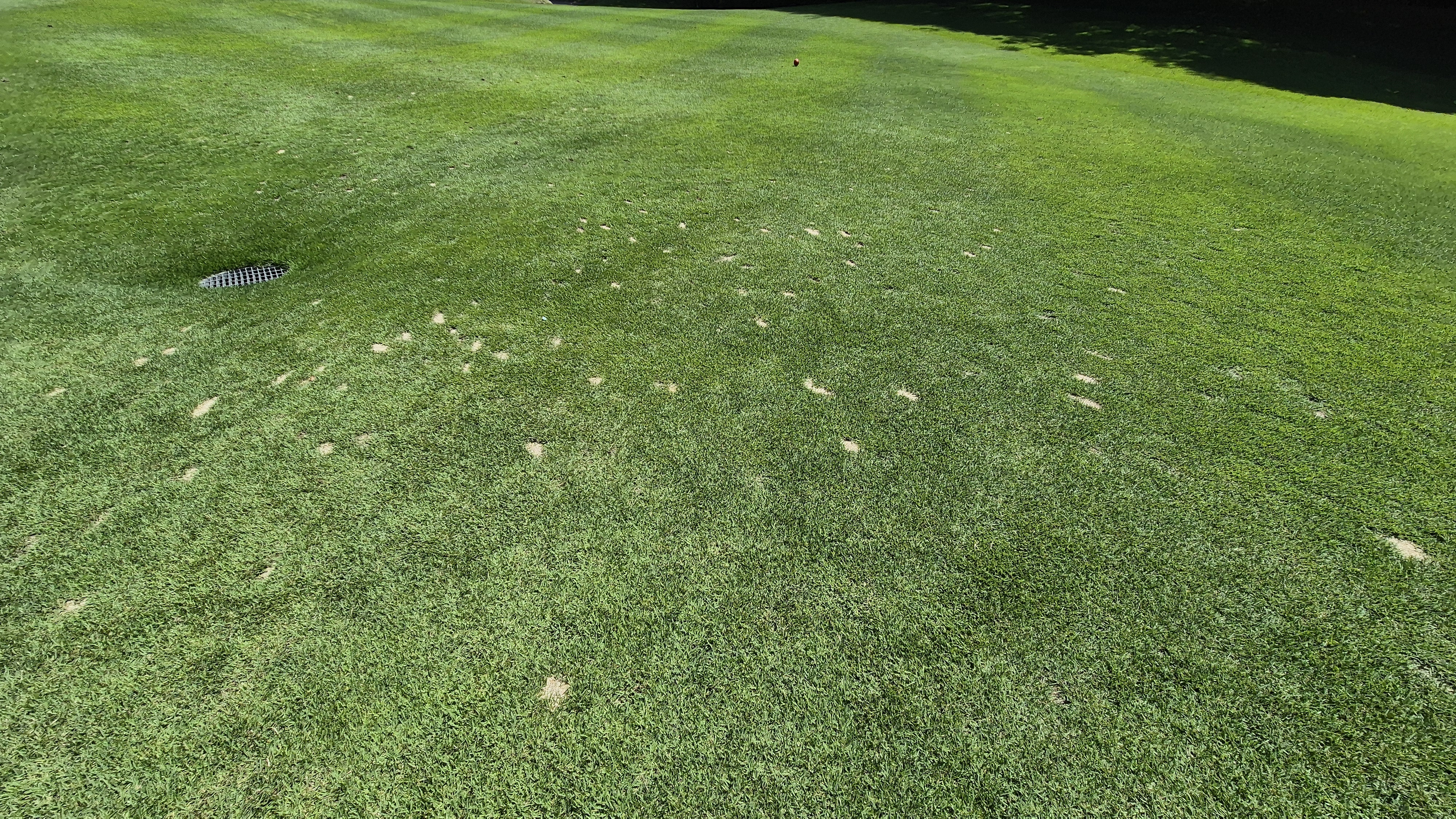 골프존카운티 화랑 라운드 후기