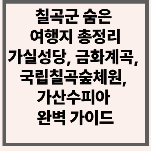 칠곡군 숨은 여행지 총정리｜가실성당, 금화계곡, 국립칠곡숲체원, 가산수피아 완벽 가이드