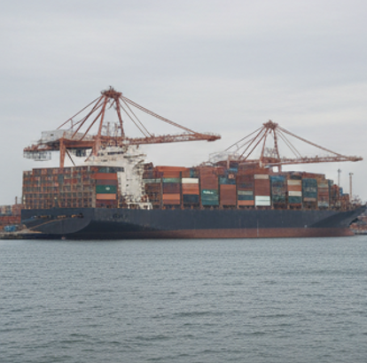 중국 의존도가 높은 국가들의 직접적인 타격 2