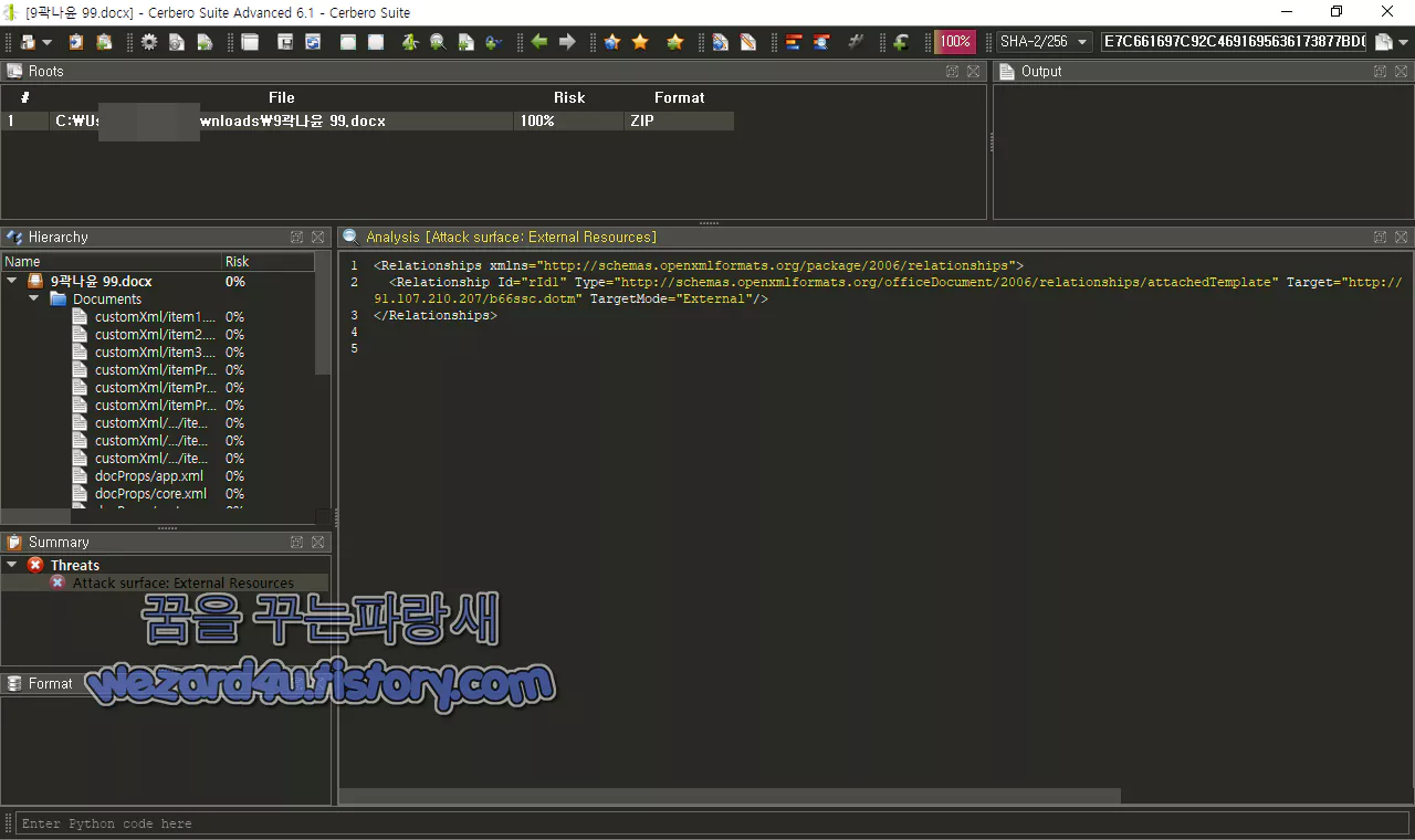 Cerbero Suite Advanced 로 본 랏빗 랜섬웨어 코드