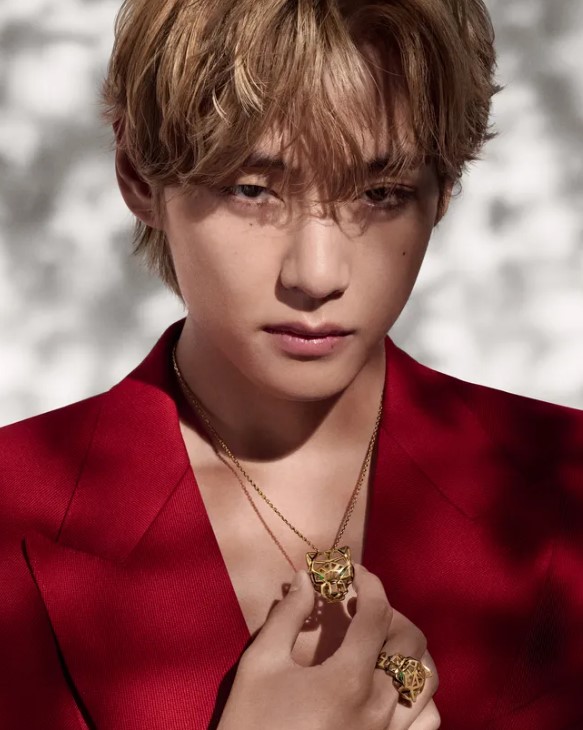 뷔 음색 집중 조명: 감성 보컬의 진가