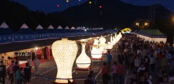 강진 수국길축제 일정 초대가수 강진 여행 2025 완벽 가이드_5