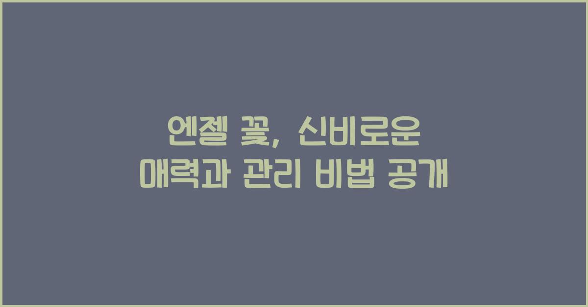 엔젤 꽃