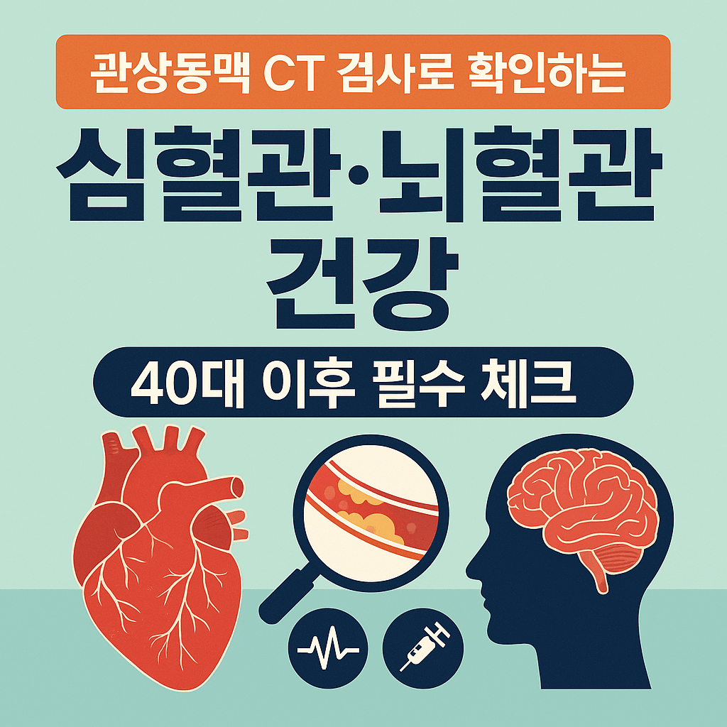관상동맥 CT 검사로 확인하는 심혈관&middot;뇌혈관 건강