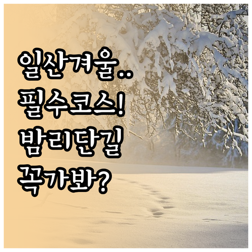 일산 밤리단길 벨라시타 호수공원 겨울..