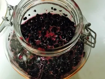 아로니아 효소만드는법과 효능효과 부작용 꽃 엑기스 활용법_16