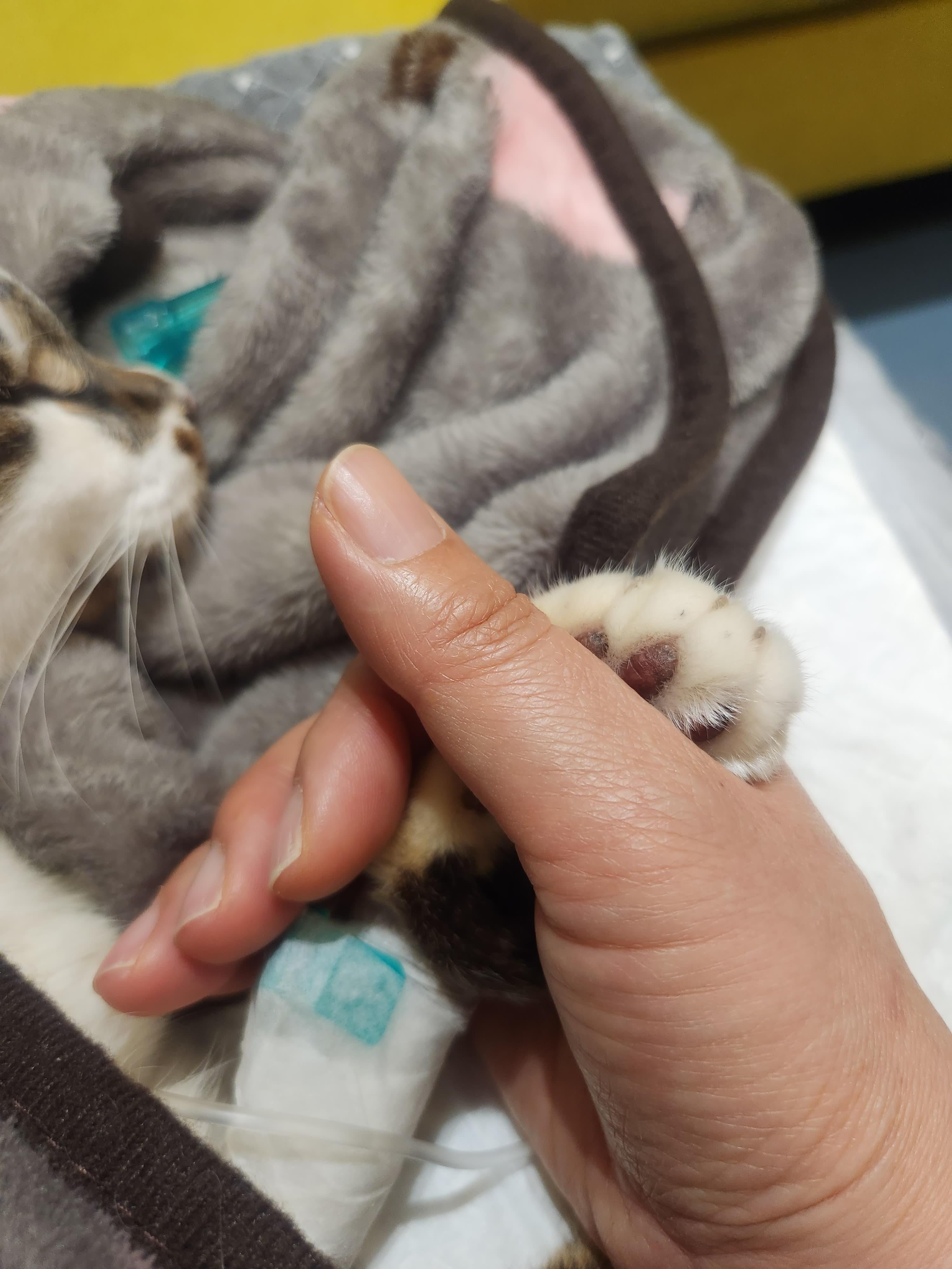 노령기와 질병, 끝까지 돌봐야 합니다