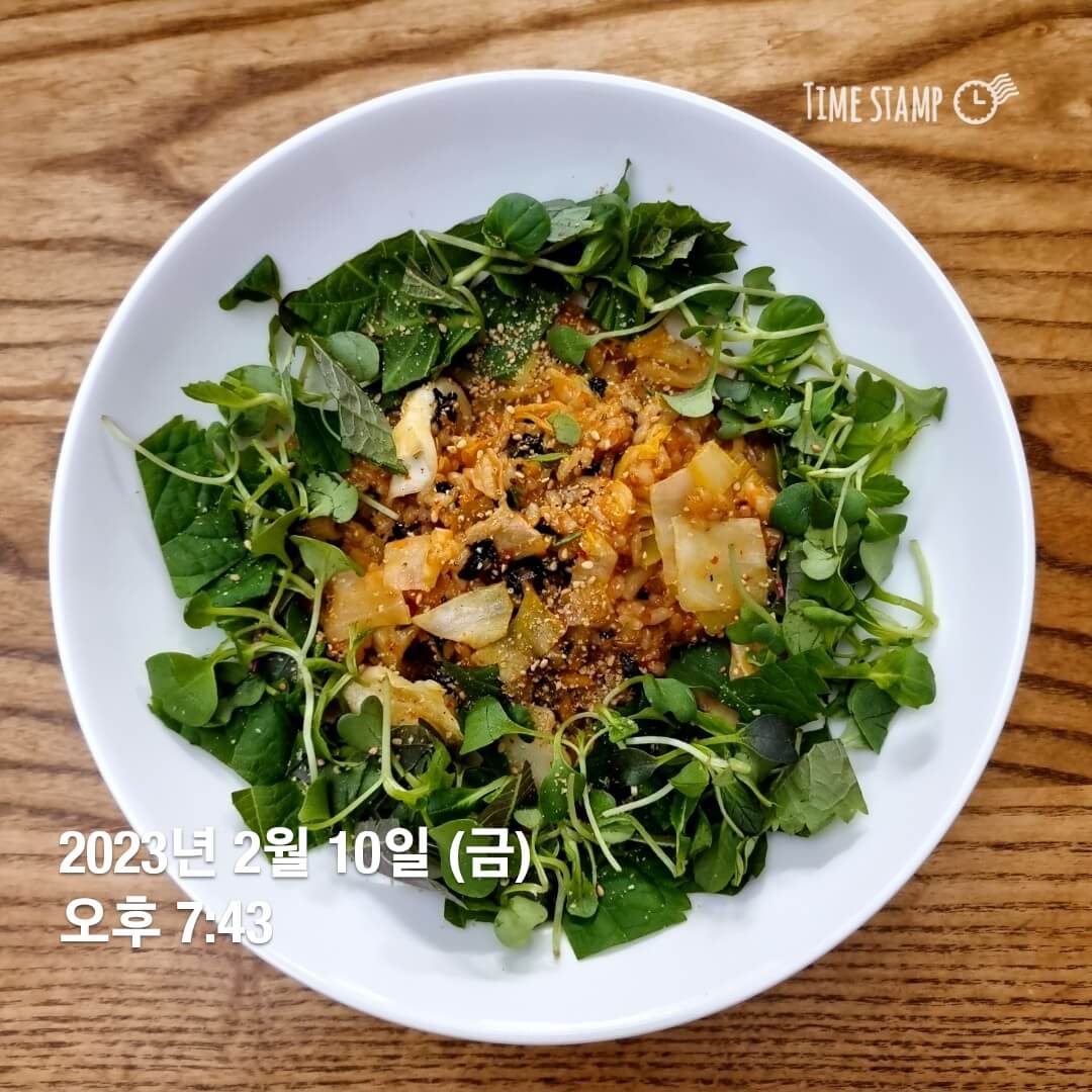 간헐적단식 식단 사진