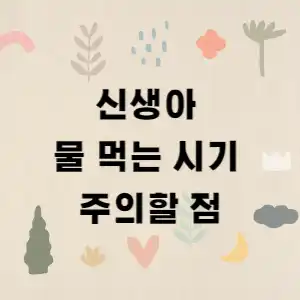 신생아 물 먹는 시기
