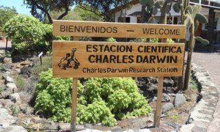 갈라파고스 증후군 유래