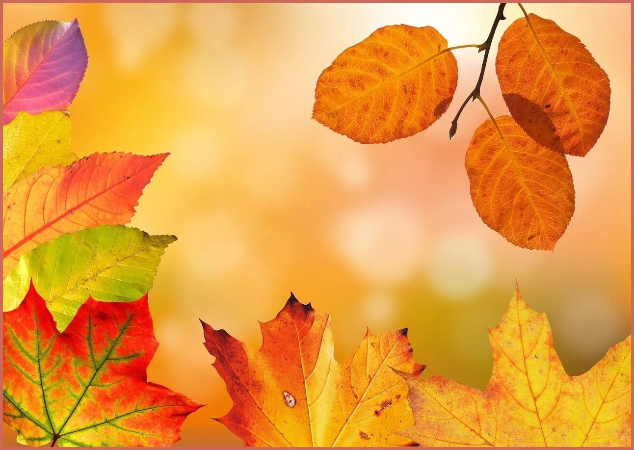 정기예금 금리 가장 높은곳