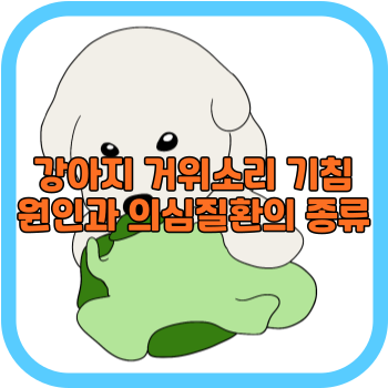 강아지 거위소리 기침 원인과 의심질환의 종류