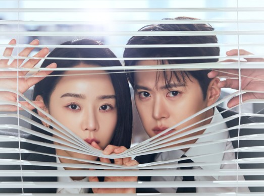 [tvN 드라마] 은밀한 감사 재방송 OTT 다시보기, 인물관계도, 몇부작, 원작