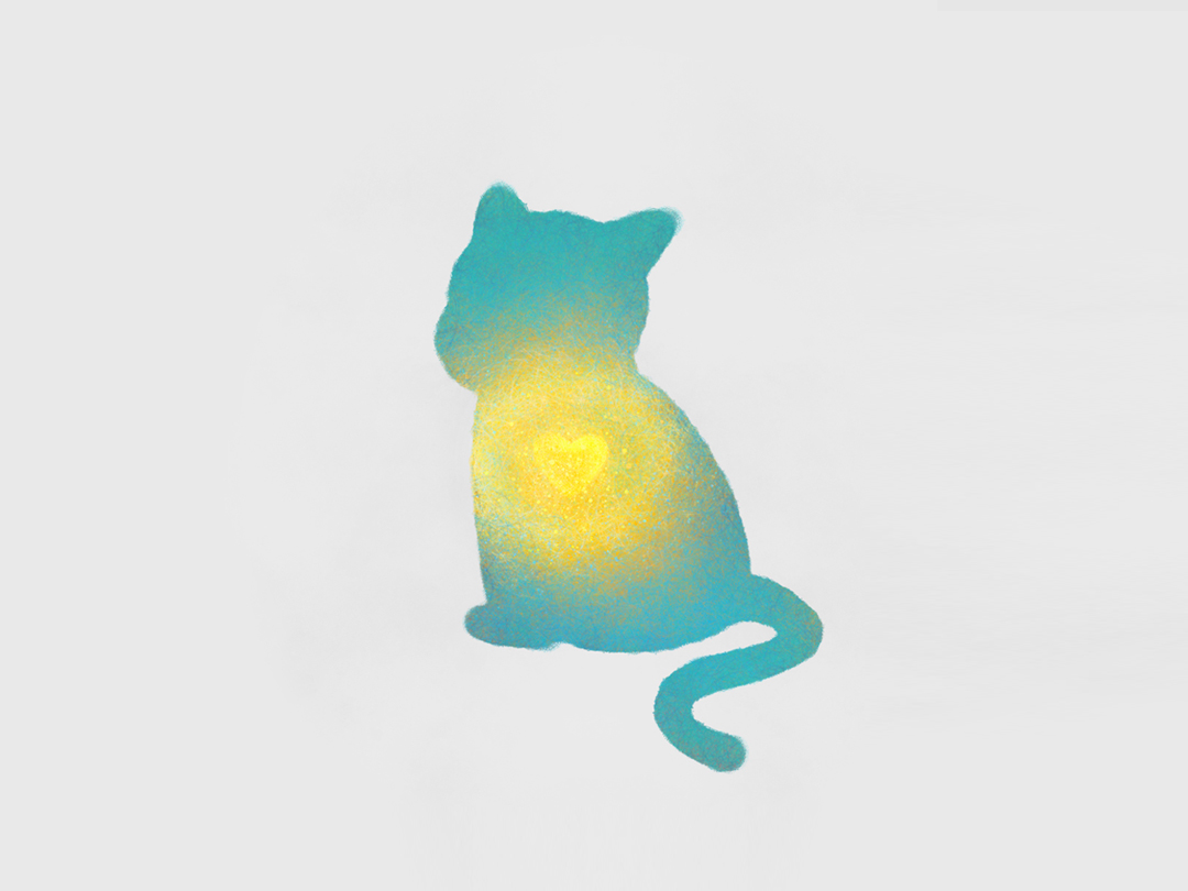 고양이 하트 무료이미지 다운로드