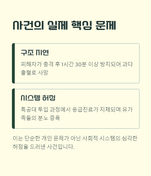 사건의 실제 핵심 문제