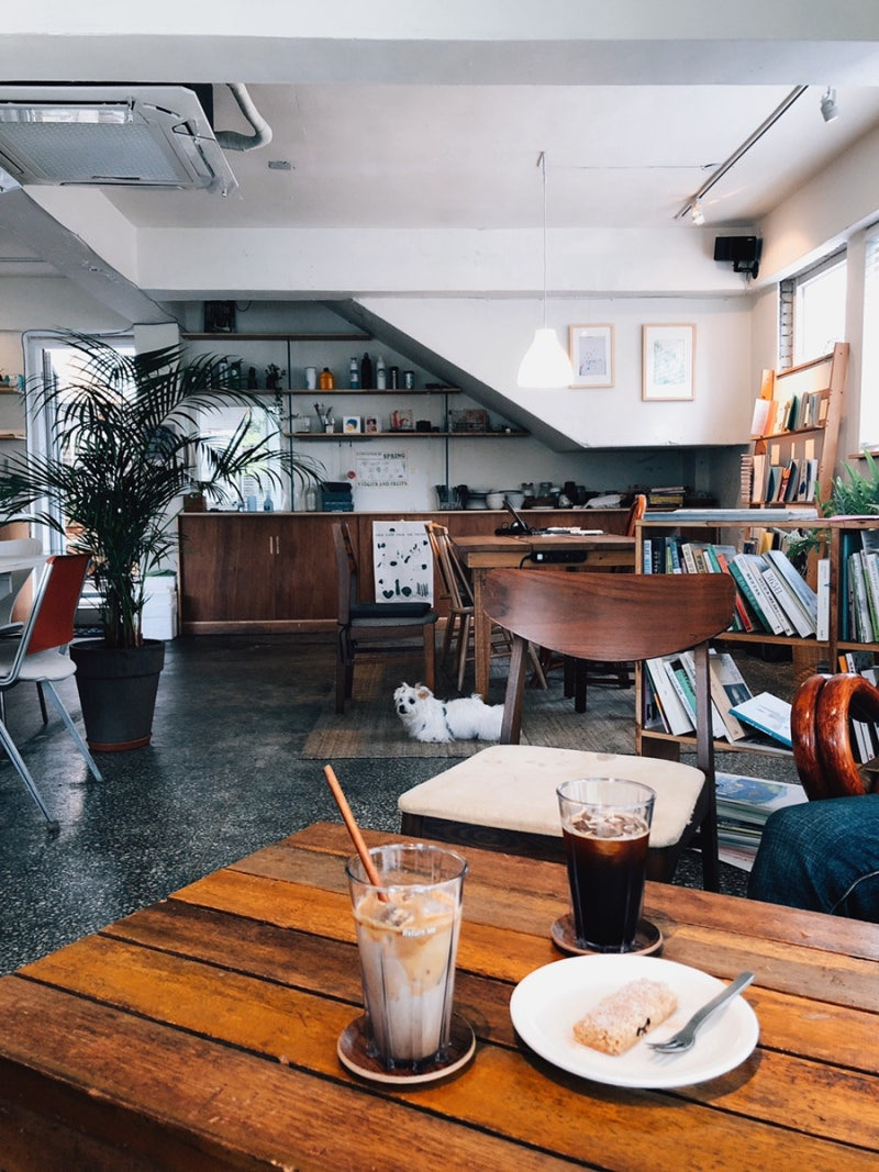 서울&middot;근교 강아지와 함께 갈 수 있는 펫카페 추천 &amp; 방문 꿀팁 총정리