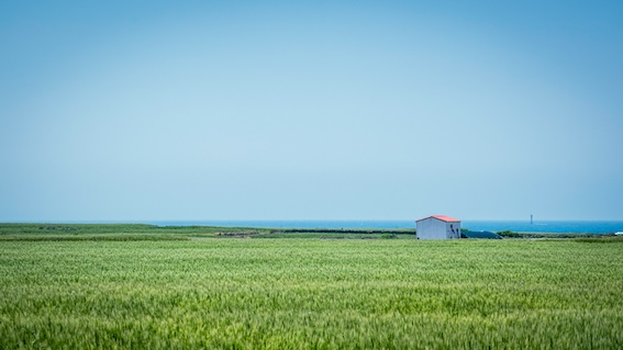 무공해차 통합누리집 신청방법