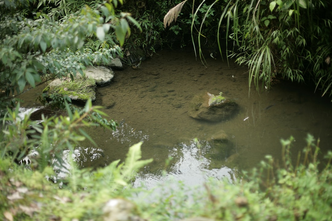 'Sinkhole'