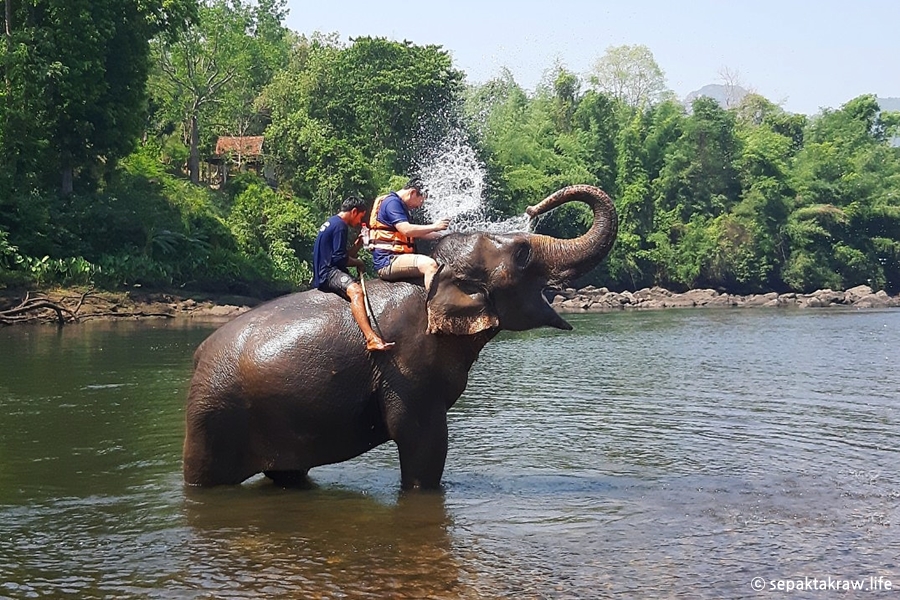 갤럭시A5로찍은태국여행사진이야기