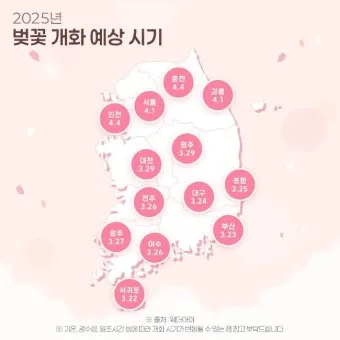 벚꽃 개화 실시간 확인 cctv_13