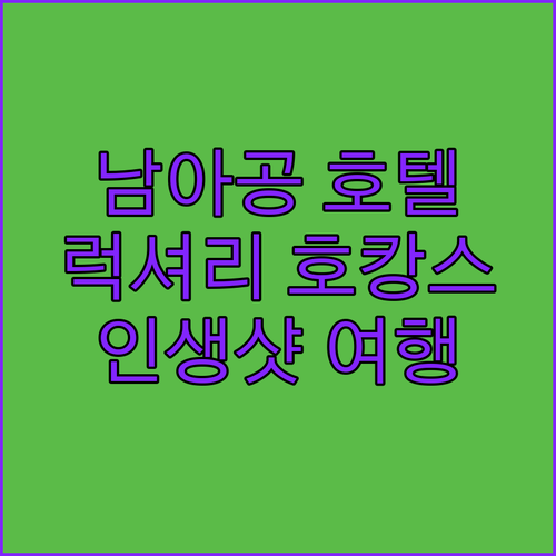 남아공 럭셔리 호텔 피어몬트 멧코트 ..