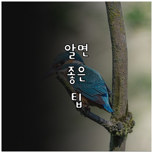 우리 아이 심리 걱정 끝 2025 아..