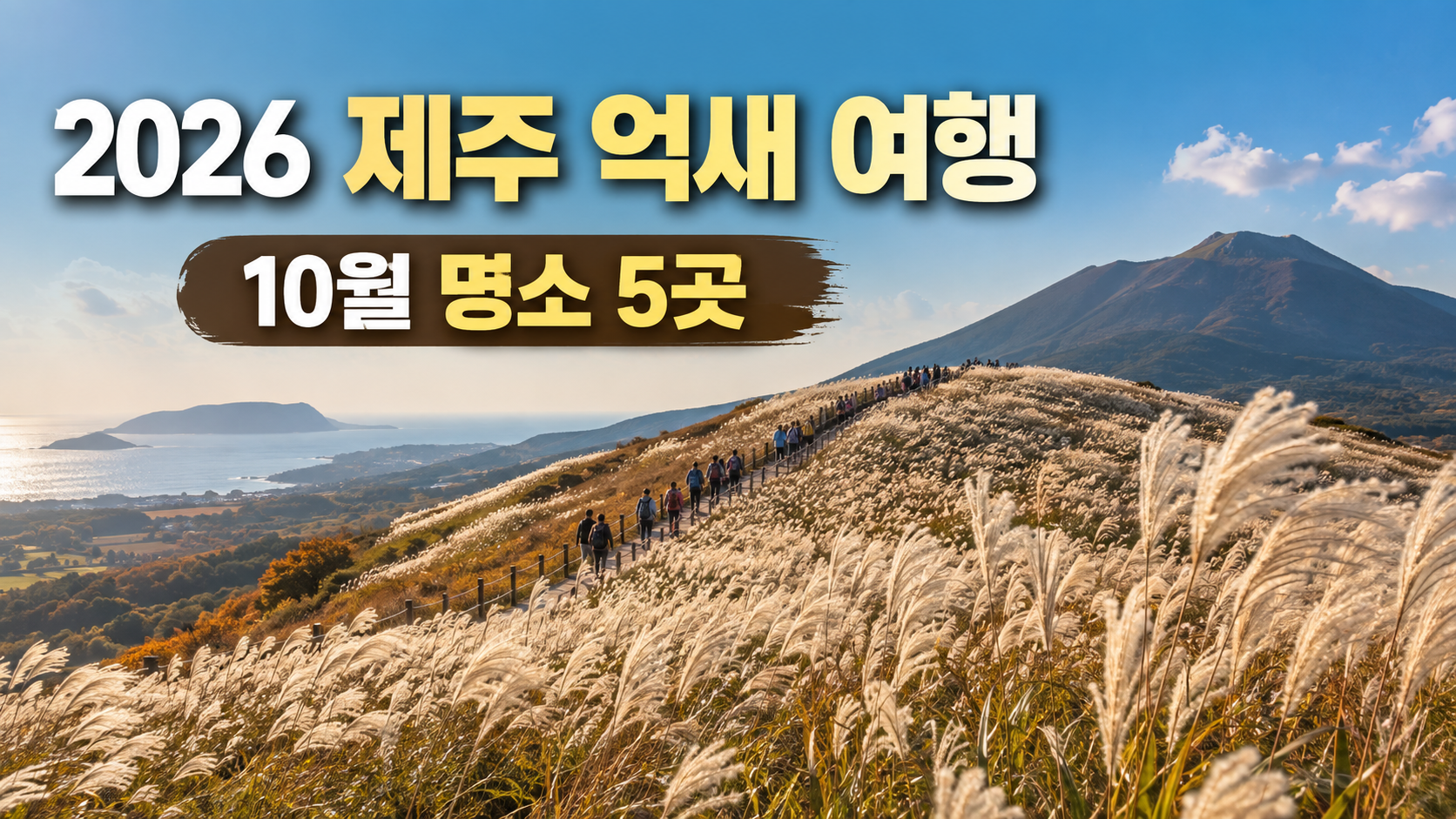 2026 제주 억새 명소 5곳|10월 가을 제주여행 코스·사진 시간대 총정리