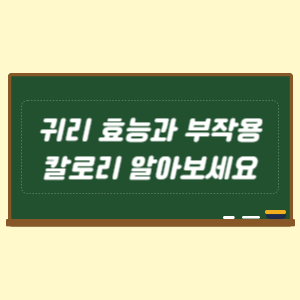 귀리 효능과 부작용 칼로리