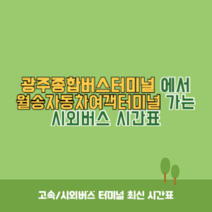 광주종합버스터미널에서 월송자동차여객터미널 가는 시외버스 시간표 최신정보