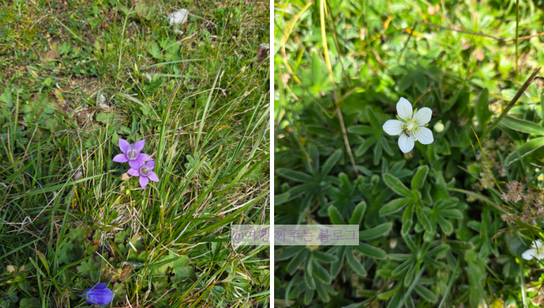 #오스트리아여행 #오스트리아가족여행