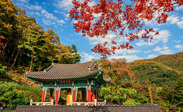 용인 와우정사, 부처님이 잠든 평화의 사찰