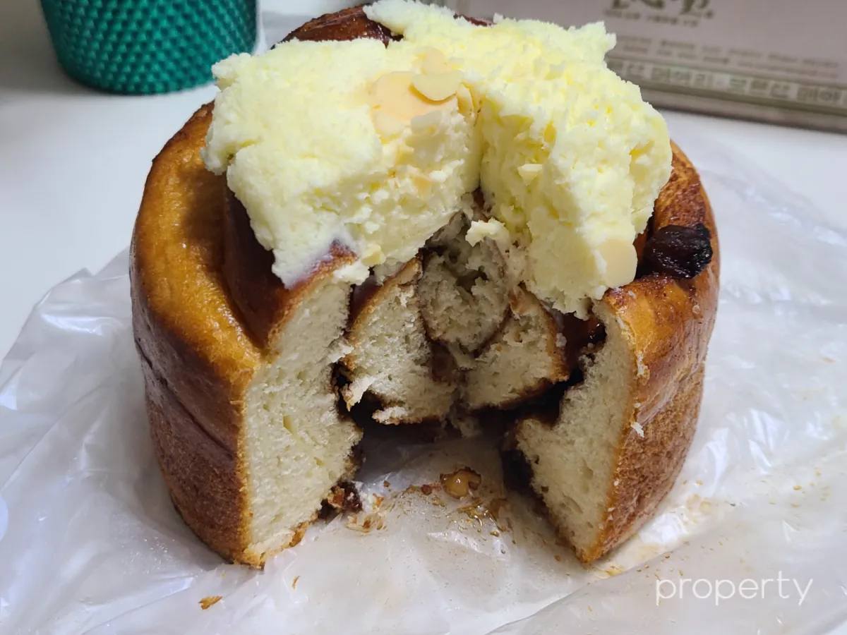 시나몬메아리-단면