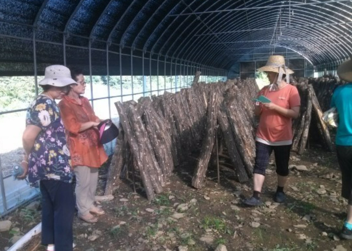 극한직업 명이나물