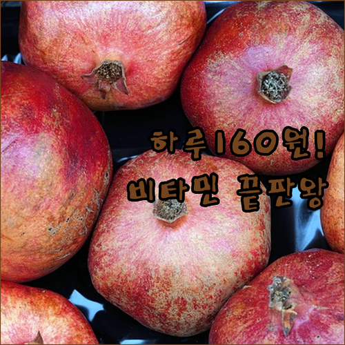 하루 160원 가성비 영양제부터 아이..