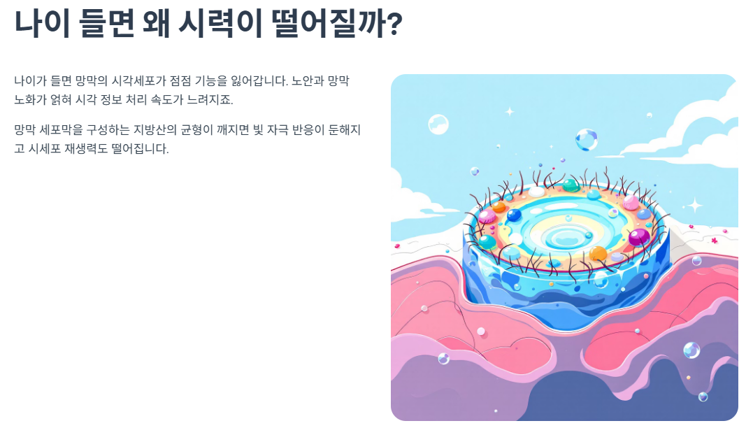 나이 들면 왜 시력이 떨어질까?