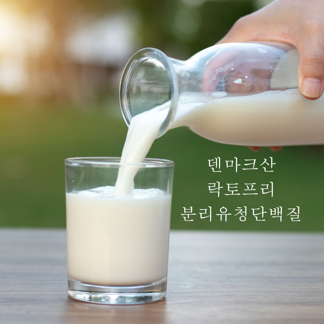 분리유청단백질