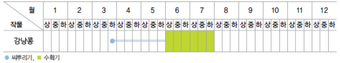 강낭콩 재배 시기