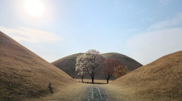 경주 대릉원