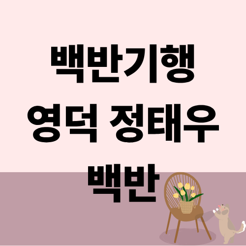 백반기행 영덕 백반 정태우